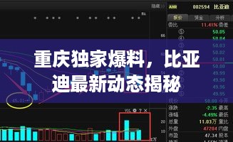 重庆独家爆料，比亚迪最新动态揭秘