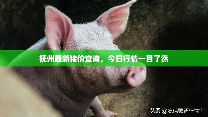 张王李赵 第2页