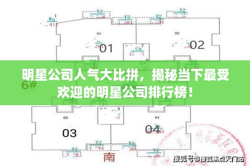 明星公司人气大比拼，揭秘当下最受欢迎的明星公司排行榜！