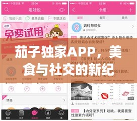 茄子独家APP，美食与社交的新纪元探索