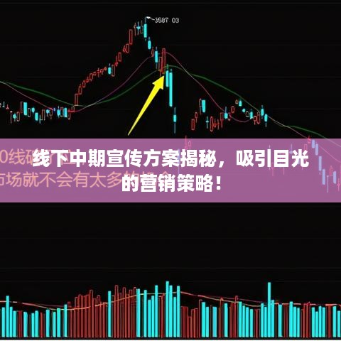 一花独放 第2页