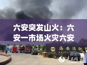 鸟革翬飞 第2页