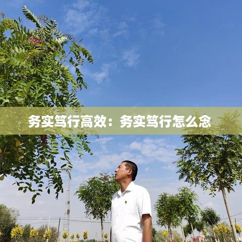 务实笃行高效：务实笃行怎么念 