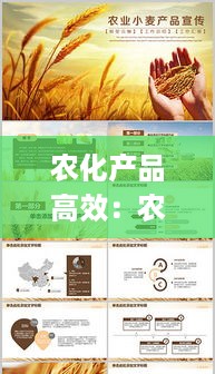 农化产品高效：农化产品高效利用与管理ppt 