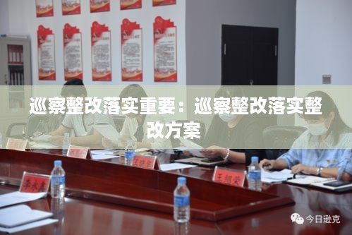 巡察整改落实重要：巡察整改落实整改方案 