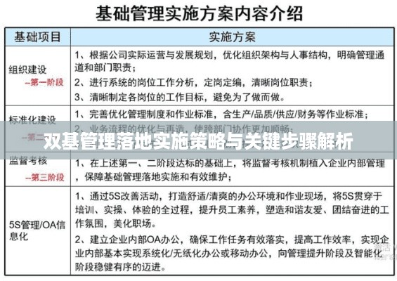 双基管理落地实施策略与关键步骤解析