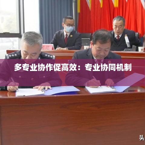 多专业协作促高效：专业协同机制 