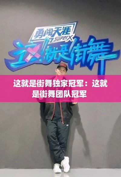 采椽不斫 第2页