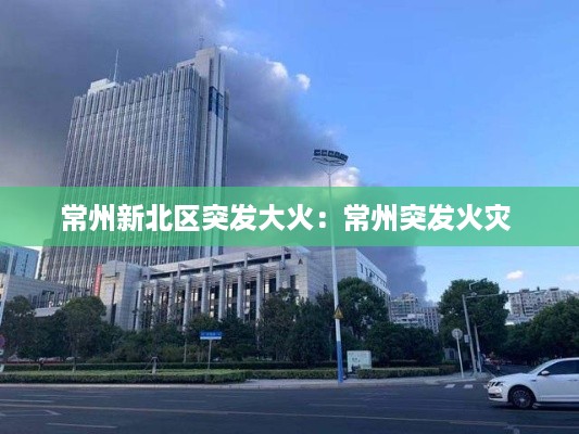 祖道供张 第2页