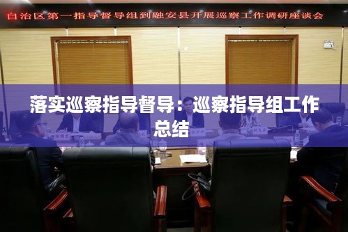落实巡察指导督导：巡察指导组工作总结 