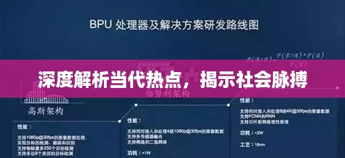 深度解析当代热点，揭示社会脉搏