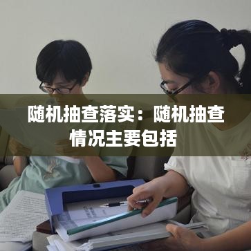 随机抽查落实：随机抽查情况主要包括 