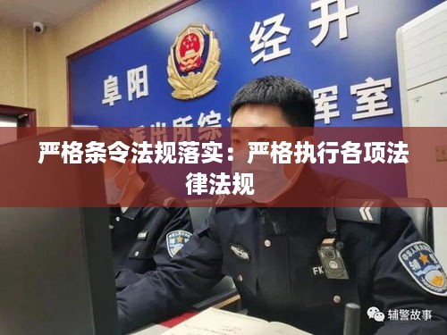 严格条令法规落实：严格执行各项法律法规 
