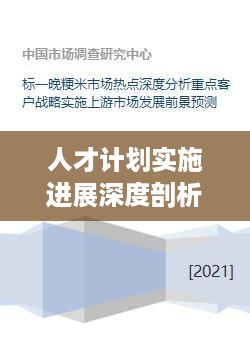 人才计划实施进展深度剖析，成效与挑战并存