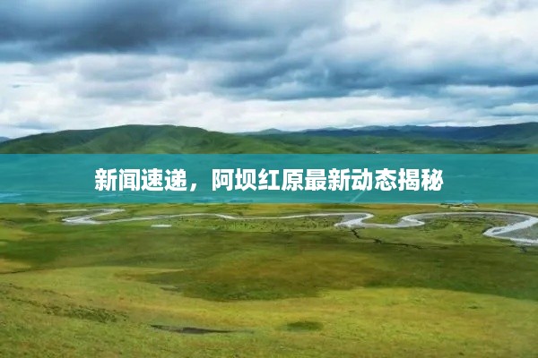 新闻速递，阿坝红原最新动态揭秘