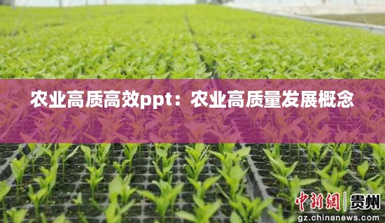 农业高质高效ppt：农业高质量发展概念 