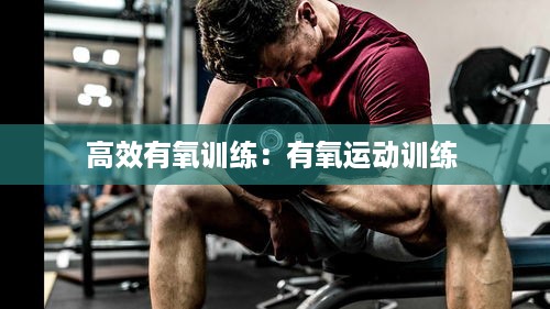 高效有氧训练：有氧运动训练 