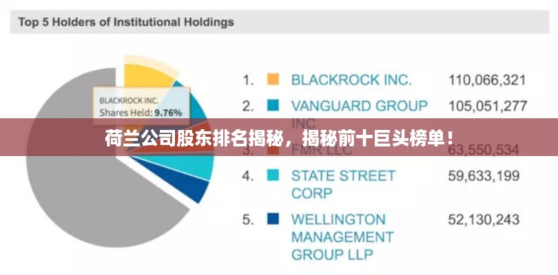 荷兰公司股东排名揭秘，揭秘前十巨头榜单！