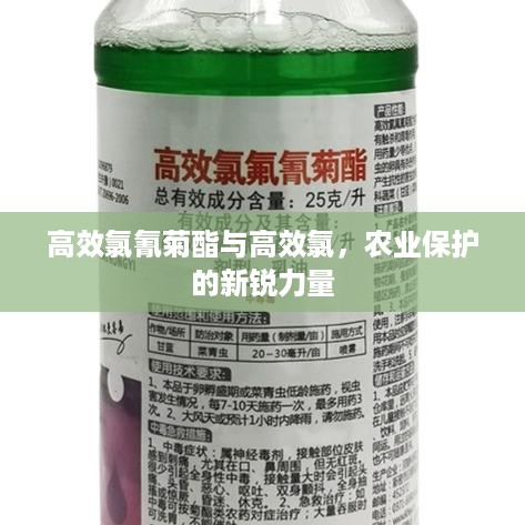 死得其所 第2页