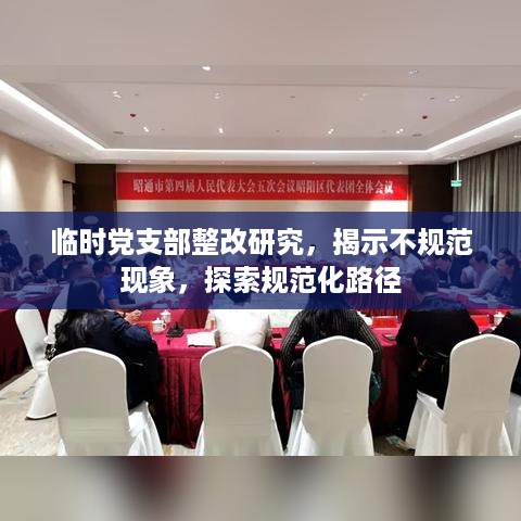 临时党支部整改研究，揭示不规范现象，探索规范化路径