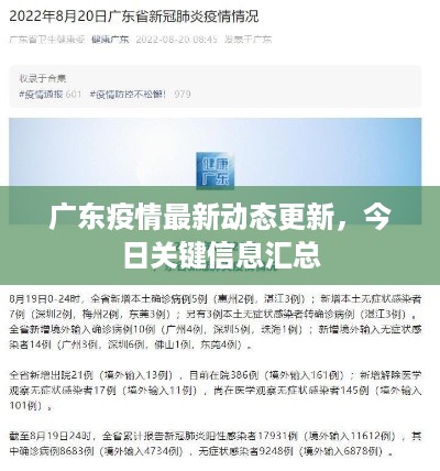 广东疫情最新动态更新，今日关键信息汇总