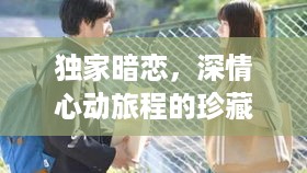 独家暗恋，深情心动旅程的珍藏版百度网盘下载链接