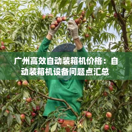 还淳反素 第2页