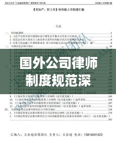 国外公司律师制度规范深度探究与启示