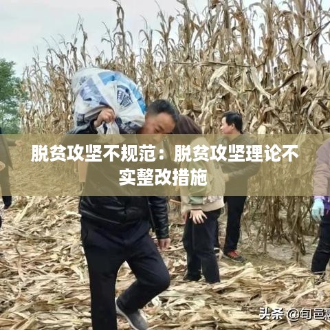 脱贫攻坚不规范：脱贫攻坚理论不实整改措施 