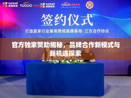 官方独家赞助揭秘，品牌合作新模式与新机遇探索