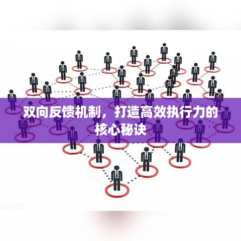 双向反馈机制，打造高效执行力的核心秘诀