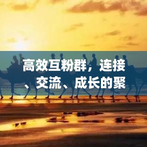 qishangbaxia 第2页