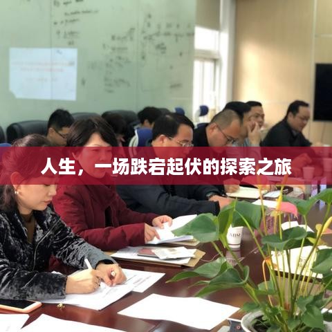 人生，一场跌宕起伏的探索之旅