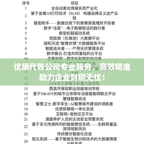 优质代账公司专业服务，高效精准助力企业财税无忧！