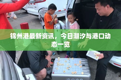 锦州港最新资讯，今日潮汐与港口动态一览