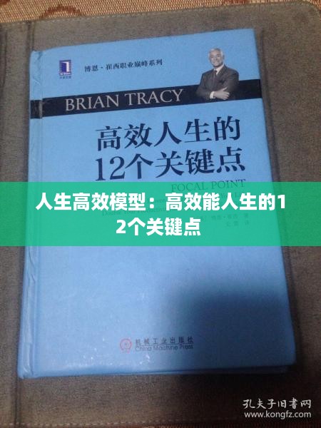 人生高效模型：高效能人生的12个关键点 