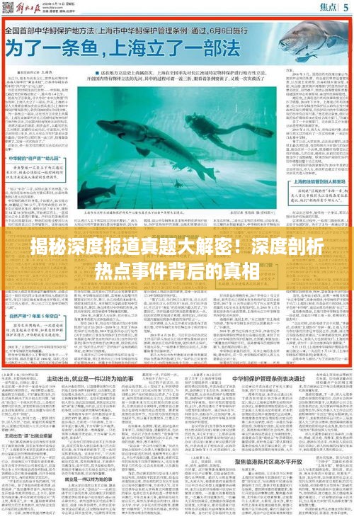 揭秘深度报道真题大解密！深度剖析热点事件背后的真相