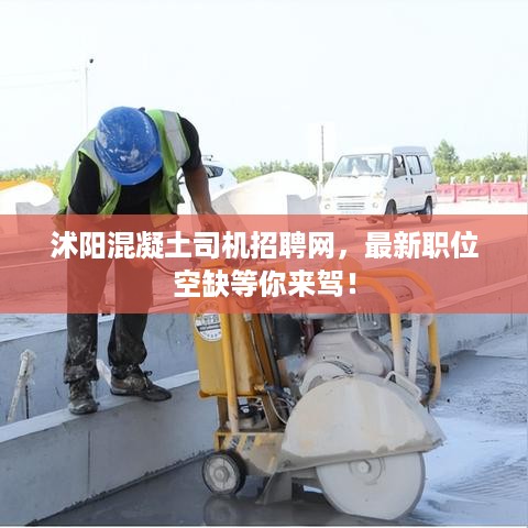 标新创异 第2页