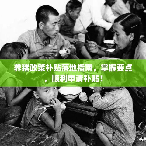 养猪政策补贴落地指南，掌握要点，顺利申请补贴！