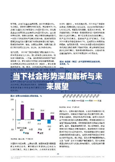 当下社会形势深度解析与未来展望