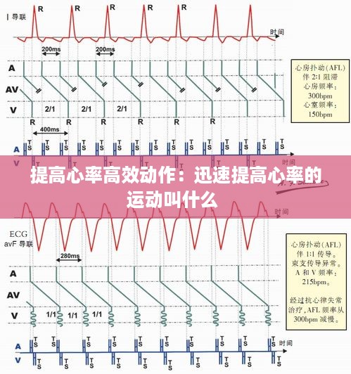 提高心率高效动作：迅速提高心率的运动叫什么 