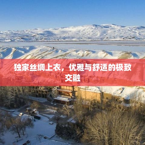 独家丝绸上衣，优雅与舒适的极致交融