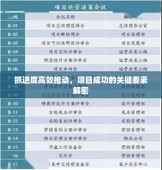 抓进度高效推动，项目成功的关键要素解密