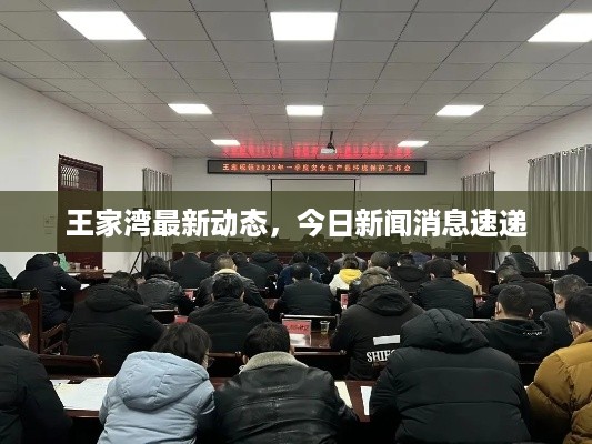王家湾最新动态，今日新闻消息速递