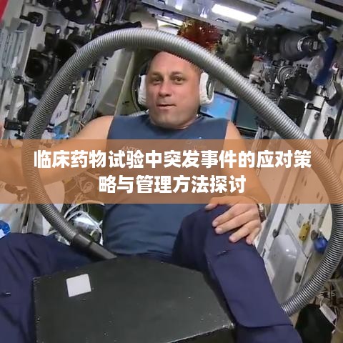 还朴反古 第2页
