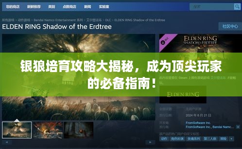 银狼培育攻略大揭秘，成为顶尖玩家的必备指南！
