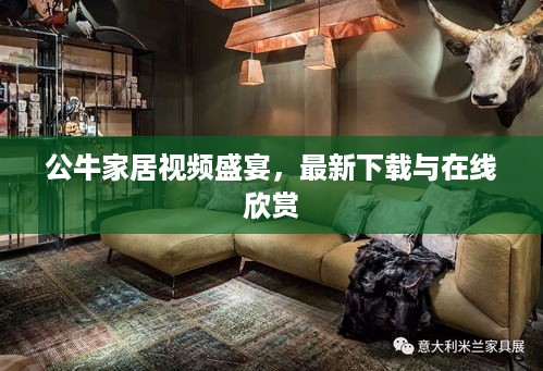 公牛家居视频盛宴，最新下载与在线欣赏