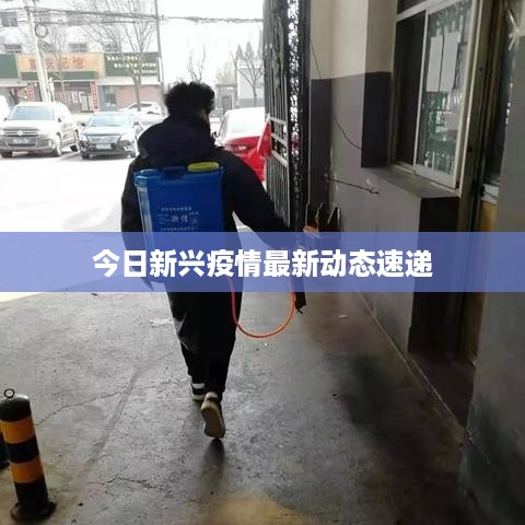 今日新兴疫情最新动态速递