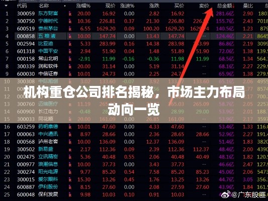 机构重仓公司排名揭秘，市场主力布局动向一览