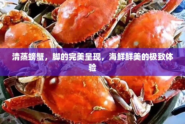 清蒸螃蟹，脚的完美呈现，海鲜鲜美的极致体验